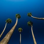 Sometimes you may be surprised when you look at usual things from different angle.